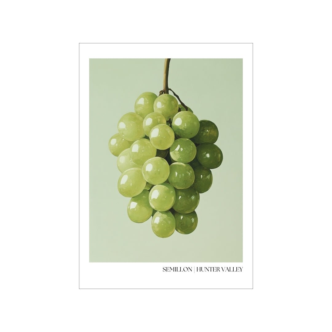 Semillon grape poster by Thirsty Merchy, inspired by Hunter Valley’s iconic wine culture. Perfect wall art for wine enthusiasts and a tribute to Stay n' Sip’s luxury mobile wine-tasting experiences. Buy this stunning poster online and book a gourmet wine experience today with Stay n' Sip