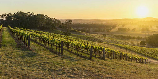 Stay n' Sip - Wine Trivia Questions