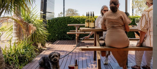 Dog-Friendly Cellar Doors, Restaurants & Accommodation in the Hunter Valley: A Local's Guide