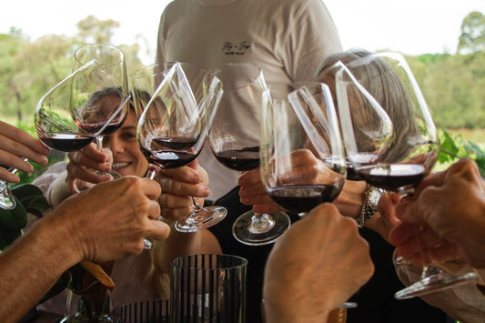Hunter Valley Wine Tour or In-House Private Wine Experience?