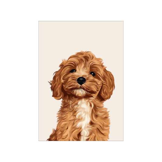 A3 Hunter Valley 'Cavoodle Cute' Poster