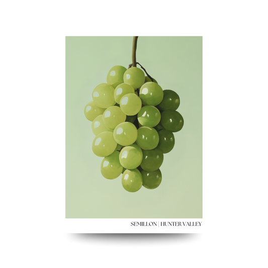 A3 Hunter Valley 'Semillon Elegance' Poster