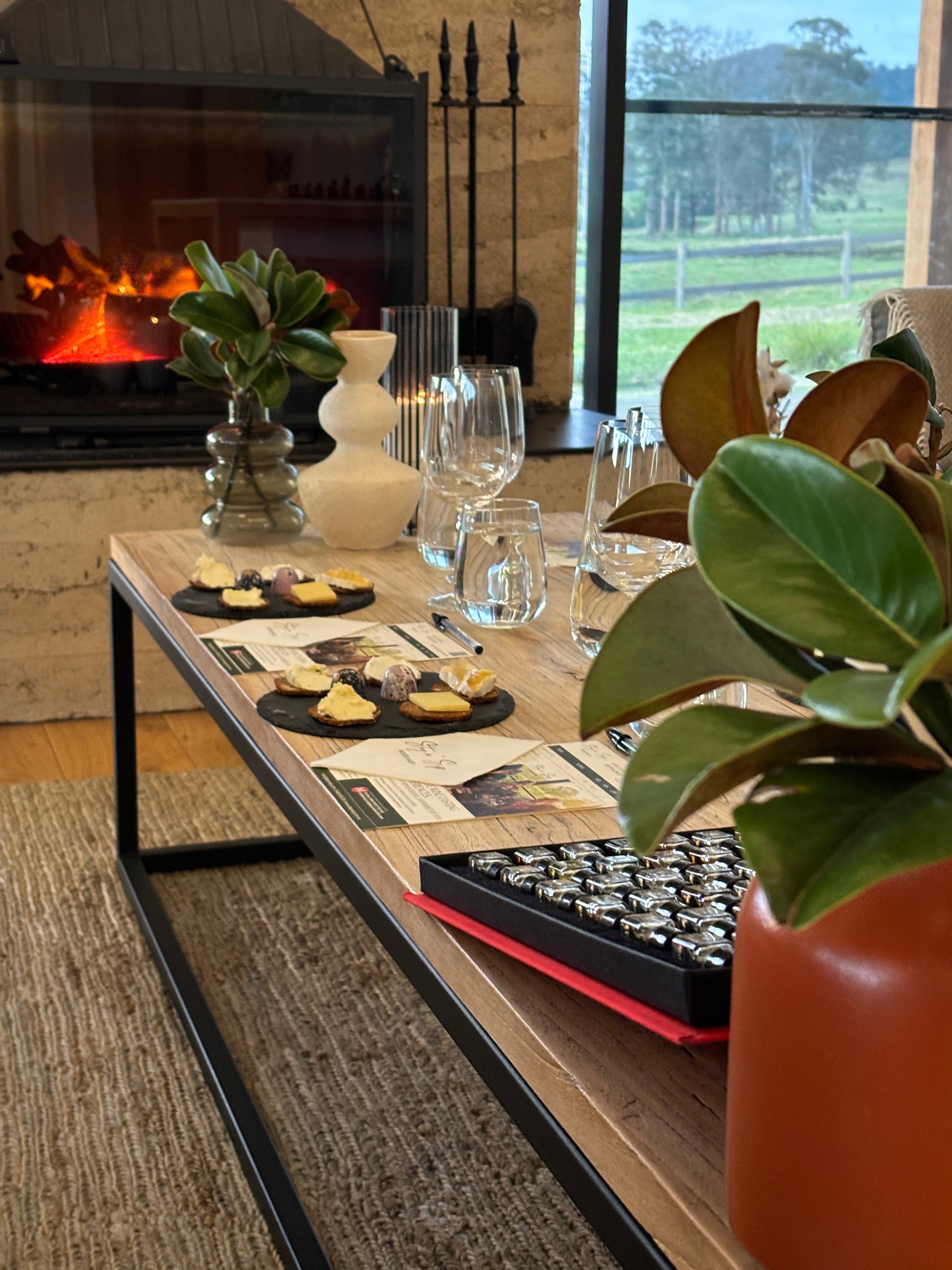 A cozy setting for a Hunter Valley group wine tasting, featuring a wooden table with wine glasses, cheese plates, and tasting cards arranged for the experience. A lit fireplace in the background adds warmth to the room, with a scenic view of green landscapes through large windows. The table is adorned with potted plants and a wine aroma kit, enhancing the inviting ambiance