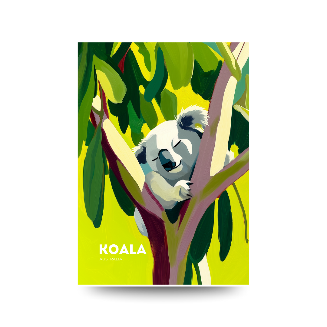 A3 Koala Nap Australia Poster