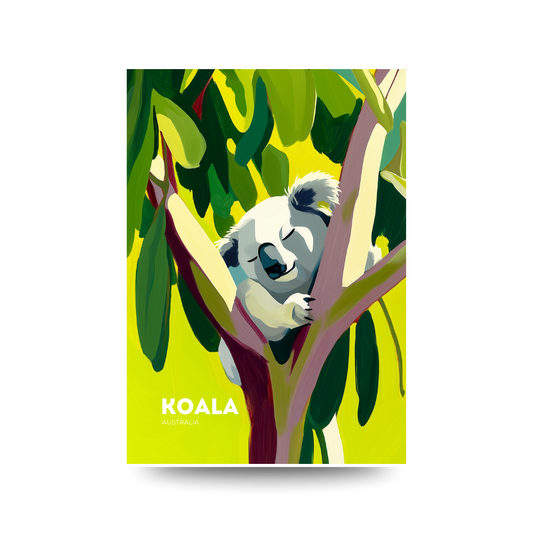 A3 Koala Nap Australia Poster