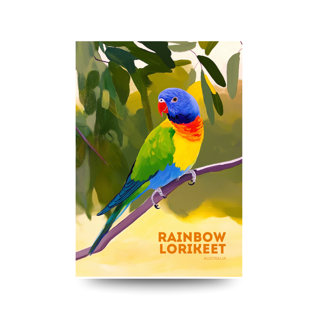 A3 Rainbow Lorikeet Australia Poster