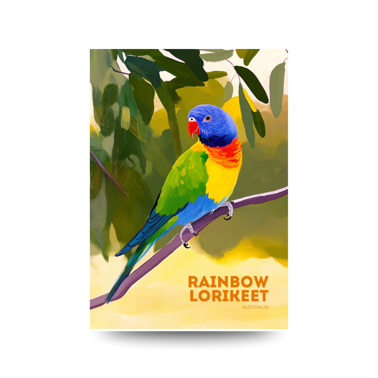 A3 Rainbow Lorikeet Australia Poster