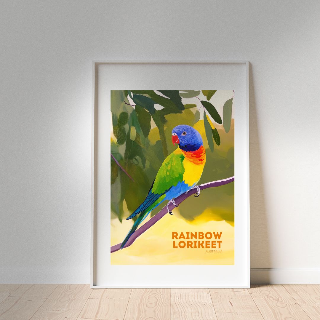 A3 Rainbow Lorikeet Australia Poster